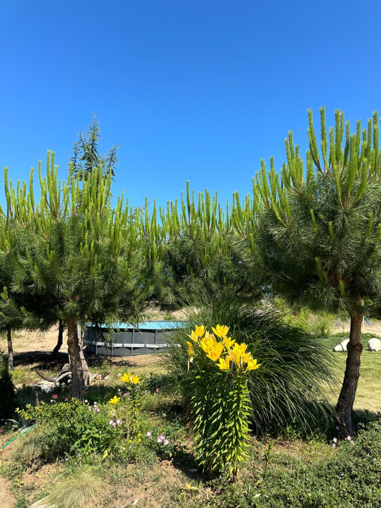 Hotel Surf Πριμόρσκο Εξωτερικό φωτογραφία